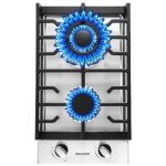 Gas Cooktop 2 Burners Built-in Gas Stove Top,LPG/NG Dual Fuel Continuous Grates,Auto Ignition,Thermocouple Protection,Stainless Steel,Heavy Duty Cast Iron 120V (12 inch)