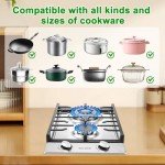 Gas Cooktop 2 Burners Built-in Gas Stove Top,LPG/NG Dual Fuel Continuous Grates,Auto Ignition,Thermocouple Protection,Stainless Steel,Heavy Duty Cast Iron 120V (12 inch)
