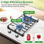 Gas Cooktop 2 Burners Built-in Gas Stove Top,LPG/NG Dual Fuel Continuous Grates,Auto Ignition,Thermocouple Protection,Stainless Steel,Heavy Duty Cast Iron 120V (12 inch)