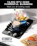 TOPWISH 2 Burner Propane Gas Cooktop Black Tempered Glass, 12 Inch Built-in NG/LPG Convertible Gas Stove Top, 18,000BTU Gas Hob with Flame-out Protection for Kitchen, Apartment，RV,110V