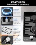TOPWISH 2 Burner Propane Gas Cooktop Black Tempered Glass, 12 Inch Built-in NG/LPG Convertible Gas Stove Top, 18,000BTU Gas Hob with Flame-out Protection for Kitchen, Apartment，RV,110V