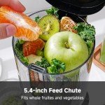 AMZCHEF Cold Press Juicer, Juicers Machines - 5.4" Large Feed Chute for Whole Fruits & Vegetables, Stainless Steel Slow Masticating Juice Easy to Clean, Large Auger, Triple Strainers, Silver