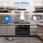 AMZCHEF Under Cabinet Range Hood 30 Inch, 750CFM Stainless Steel Kitchen Stove Vent Hood 3 Speed Exhaust Fan Touch/Remote/Gesture Control LED lights Time Setting Dishwasher-Safe Baffle Filters