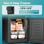 EUHOMY Double Door Mini Fridge With Freezer, Freestanding Wine Cooler Refrigerator With Reversible Door, Compact Refrigerator Temperature Control, Wine Fridge Perfect For Kitchen Home Office.
