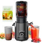Hobsir Juicer Machines, 5.3-Inch Cold Press Juicers, Masticating Slow Juicer Machine with 300W, Large Feed Chute Juice Machines for Vegetables and Fruits, Easy to Clean Juicers Magic, Black