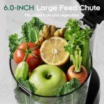 Canoly C16 Cold Press Juicer, 6" Extra Wide Feed Chute with Dual Strainers (Juice & Sorbet), Powerful AC Brushless Motor, Self Precut System, Juicer Machines with BPA Free (Space Gray)