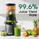 Canoly C16 Cold Press Juicer, 6" Extra Wide Feed Chute with Dual Strainers (Juice & Sorbet), Powerful AC Brushless Motor, Self Precut System, Juicer Machines with BPA Free (Space Gray)