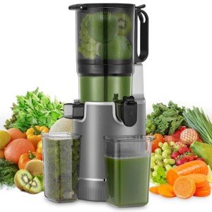 Juicer Machines, 5.4" Extra Large Feed Chute Fit Whole Fruits & Vegetables, Slow Masticating Cold Press Juicer Easy to Clean, 250W, High Juice Yield
