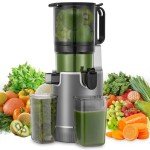 Juicer Machines, 5.4" Extra Large Feed Chute Fit Whole Fruits & Vegetables, Slow Masticating Cold Press Juicer Easy to Clean, 250W, High Juice Yield
