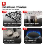 GASLAND 30 Inch Gas Cooktop with 4 Burners PRO GH2304SS,NG/LPG Convertible Natural Gas Propane Cooktops, Auto Ignition, Thermocouple Protection