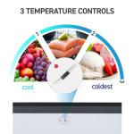 Commercial Cool Upright Freezer, Stand Up Freezer 6 Cu Ft with Reversible Door, Black