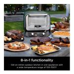 Ninja Woodfire 8-in-1 Outdoor Smoker Pizza Oven with 5 Pizza Settings, Green