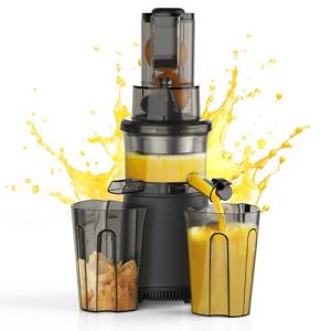Slow Cold Press Juicer Machines: Masticating Cold Pressed Compact Juicer For Vegetable And Fruit Easy To Clean, Silver Grey