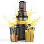 Slow Cold Press Juicer Machines: Masticating Cold Pressed Compact Juicer For Vegetable And Fruit Easy To Clean, Silver Grey