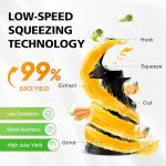 Cold Press Juicer, Juicer Machines with 5.3" Wide Feed Chute, Masticating Juicer for Whole Vegetables & Fruits, Juice Extractor Machine Easy to Clean, Grey