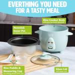 Tasty Mini Rice Cooker with Removable Nonstick Bowl and Auto Keep Warm Function, Great For Soups, Stews, Grains and Oats, 6 Cups Cooked (3 Cups Uncooked), 1.5-Quart, Aqua