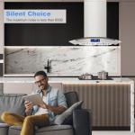 JOEAONZ Island Range Hood 30 Inch 700 CFM Gesture & Touch Control Ceiling Mount Stainless Steel Kitchen Vent Hood, Kitchen Exhaust Hood, Ducted/Ductless Convertible 3-speed Ventilation Fan Switchable