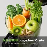 Cold Press Juicer, 5.3" Wide Feed Chute Juice Extractor Machine with 400W, High Juice Yield, Slow Masticating Juicer for Whole Vegetables & Fruits, Metallic Silver