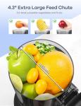 Ganiza Juicer Machines, Slow Masticating Juicers with Large Feed Chute for Whole Fruits & Vegetables, Cold Press Juicer with 3 Replace Filters for Batch Juicing, Easy to Clean, BPA Free(Silver)