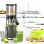 Floisdace J8 Cold Press Juicer, 6.5" Extra Wide Feed Chute Juicer Machines, 350W Slow Juicer Machines with High Juice Yield for Whole Vegetables & Fruits, BPA Free (Titanium Gray)