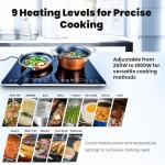 OMEO Portable Double Induction Cooktop 2 Burner Electric Cooktop, Touch Control 110V Induction Cooker with Safety Lock, Pause, Auto Shutoff Timer Setting, 9 Heating Level and Overheating Protection