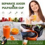 Cold Press Juicer Machines, AMZCHEF Slow Masticating Juicer with Reverse Function, High Juice Yield, Easy Clean with Brush, Recipes for High Nutrient Fruits and Vegetables, Black(Updated)
