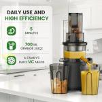 Slow Masticating Cold Press Juicer: Cold Pressed Juicer Machines For Vegetable And Fruit 200W, Matte Grey