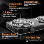 TeqHome Hot Plate, 2000W Portable Electric Stove for Cooking with 5 Levels Adjustable Temperature & Dual Control, Countertop Double Coil Burner Cast Iron Cooktop for All Cookwares Home Camp RV (Black)