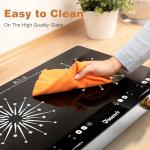 Disaenvir 2 Burner Electric Cooktop 110V - 24 Inch Countertop Electric Stove with Handles 2000W, Two Burner Ceramic Burner with LCD Touch Screen and Knob Control, Timer, Safety Lock, 120V Plug in