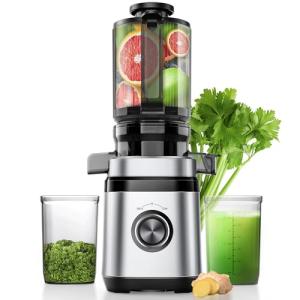 Juicer Machines, Cold Press Juicer with Wide Feed Chute, Slow Masticating Juicers for Whole Vegetables & Fruits, High Juice Yield, Easy to Clean, Large Auger, Light Silver