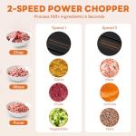 OLIXIS Electric Food Processor, 450W Meat Grinder & Vegetable Chopper with 2 Bowels for Home Use, Food Chopper with Double S-Blades for Vegetable, Onion, Garlic, Meat, Nuts