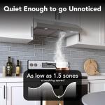 Broan-NuTone Luxury Modern 30-Inch 350 MAX Blower CFM 1.5 Sones Stainless Steel Range Hood