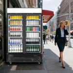 BINGERMA Commercial Merchandiser Display Refrigerator 40 Cu.ft. with 2 Glass Doors ETL Drink Cooler Beverage Fridge for Bars,Restaurants, Convenience Stores, Supermarkets and Offices