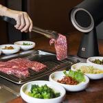 CIARRA Portable Range Hood, Desktop Range Hood with 2 Speed Exhaust Fan, Detachable Aluminum Filter, Large Oil Collection Cup, Portable Kitchen Exhaust Fan for Indoor BBQ, Hot Pot