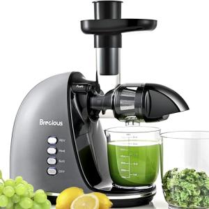 Slow Masticating Juicer,Brecious Cold Press Juicers with 2 Speed Modes & Quiet Motor,Juicers Machines Vegetable and Fruit with Reverse Function,Celery Juicer,BPA-Free,Easy to Clean (Silver)