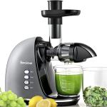 Slow Masticating Juicer,Brecious Cold Press Juicers with 2 Speed Modes & Quiet Motor,Juicers Machines Vegetable and Fruit with Reverse Function,Celery Juicer,BPA-Free,Easy to Clean (Silver)