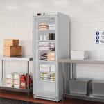 KoolMore 12 Cu. ft. Commercial Freezer with Glass Door in Stainless Steel - Manual Defrost (KM-MFD-12GSG)