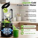 ECOSELF Cold Press Juicer with 3 Filters (For Juice/Sorbet/Nut Milk), Juicer Machines With 6.0" Wide Mouth Hopper, Self Feeding & Hands-Free Design, Upgraded Motor, Juicer for Family Gathering Party