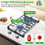 Gas Cooktop 2 Burners Built-in Gas Stove Top,LPG/NG Dual Fuel Continuous Grates,Auto Ignition,Thermocouple Protection,Stainless Steel,Heavy Duty Cast Iron 120V (12 inch)