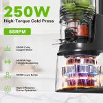 Cold Press Juicer, Juicer Machines with 5.3" Wide Feed Chute, Slow Masticating Juicer for High Yield with Whole Fruits and Vegetables, Easy to Clean, Easy to Assemble (Black)