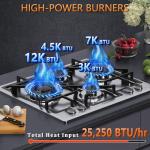 24 inch Gas Cooktop, Bulit-in Gas Stove Top with 4 Burner, NG/LPG Convertible Cooktops, Dual Burner Propane Cooktop with Thermocouple Protection, Stainless Steel