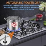 24 inch Gas Cooktop, Bulit-in Gas Stove Top with 4 Burner, NG/LPG Convertible Cooktops, Dual Burner Propane Cooktop with Thermocouple Protection, Stainless Steel