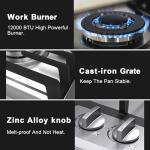 24 inch Gas Cooktop, Bulit-in Gas Stove Top with 4 Burner, NG/LPG Convertible Cooktops, Dual Burner Propane Cooktop with Thermocouple Protection, Stainless Steel