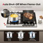 GASLAND 24 Inch Gas Cooktop with Griddle, 4 Sealed Burners Stovetop, LPG/NG Convertible Dual Fuel Natural Gas Hob, Heavy Duty Cast Iron Grates, Electronic Ignition, Zinc Alloy Knobs, Stainless Steel