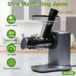 OLIXIS Cold Press Juicer, Slow Masticating Juicer Machines with Extra Wide Feed Chute, High Juice Yield and Easy to Clean for Whole Vegetables & Fruits, Charcoal