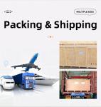 Convection Oven, Electric Digital Baking with Steam, Tabletop Convection Bread for Bakery Wheat Corn Pastry Making