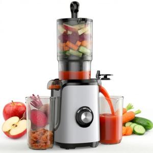 DUMOS Masticating Juicer Machines, Cold Press Juicer with Wide Feed Chute, High Juice Yield and Easy to Clean for Whole Vegetables & Fruits, Silver