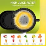 Juicer Machine, 500W Centrifugal Juicer Extractor with 3 Speed & Wide Mouth 3” Feed Chute for Fruit Vegetable, High Yield Juicer Included Cleaning Brush for Easy to Clean