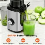 NEWBULIG Cold Press Juicer Machines, Masticating Juicer with High Juice Yield, Reverse Function, Stops Oxidation and Easy to Clean for Vegetables & Fruits, Silver