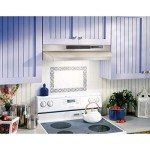 BROAN F403004 Broan(R) 30-Inch Convertible Under-Cabinet Range Hood, 160 CFM, Stainless Steel